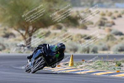 media/Apr-14-2024-SoCal Trackdays (Sun) [[70f97d3d4f]]/1-Turn 5 Tree of Life (920am)/